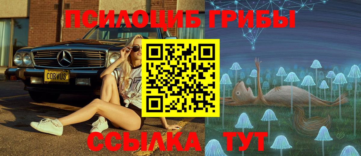 Псилоцибиновые грибы GOLDEN TEACHER Зима