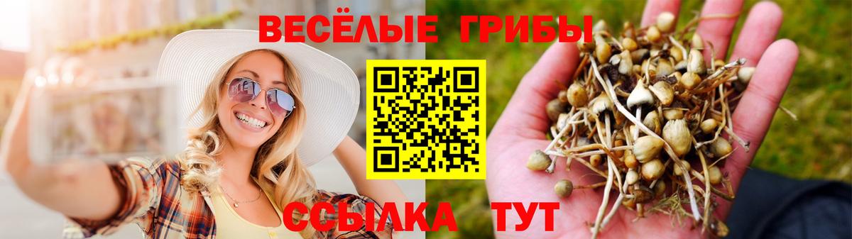 Псилоцибиновые грибы мухоморы  Вход с VPN  Зима 